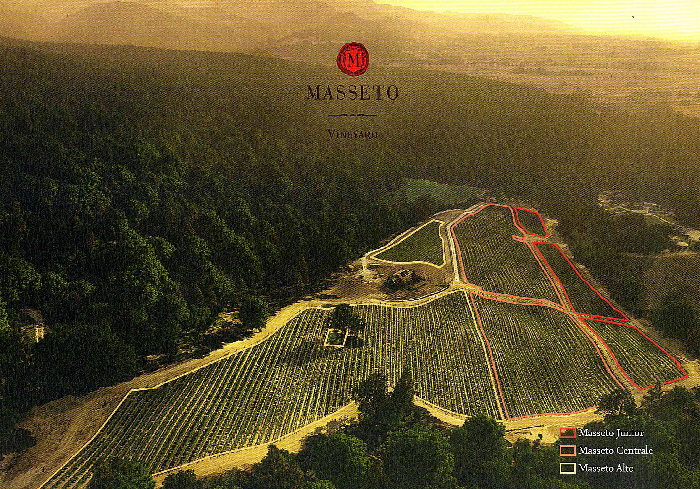 Azienda Vinicola Masseto